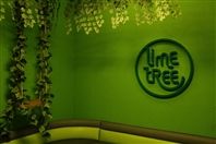 Lime Tree Dbayeh Nightlife Lime Tree on Thursday Night Lebanon