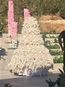 Mist Hotel Ehden Wedding Bassel And Marianne Frangieh Wedding Party Lebanon