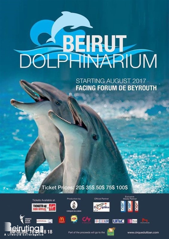 Activities Beirut Suburb Social Event Beirut Dolphinarium Lebanon