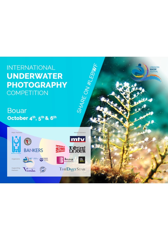 Activities Beirut Suburb Social Event LEBWF International Underwater Photography Competition Lebanon