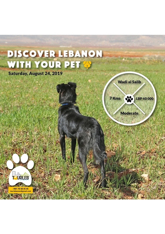 Activities Beirut Suburb Outdoor Discover Lebanon With Your Pet Lebanon