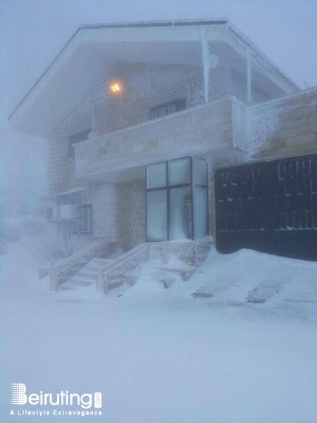 Alexa Snow Storm Photo Tourism Visit Lebanon