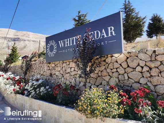 White Cedar Hotel Ehden Social Event White Cedar Hotel: Where Every Stay is Unique Lebanon