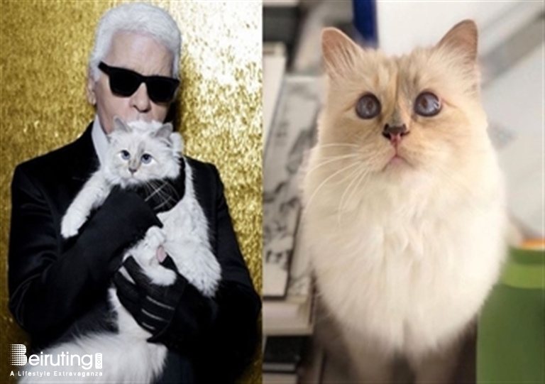 Whatever happened to Choupette, Karl Lagerfeld's pampered cat? – The Irish  Times
