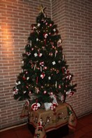 Movenpick Social Event Lighting of the Christmas Trees Lebanon