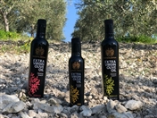 Social Event Bustan El Zeitoun Lebanon's Extra Virgin Olive Oil Production Earns International Acclaim  Lebanon