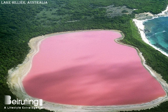 Around the World Social Event 12 Craziest Things in Nature Lebanon