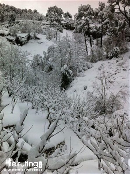 Snow covers all over Lebanon Photo Tourism Visit Lebanon