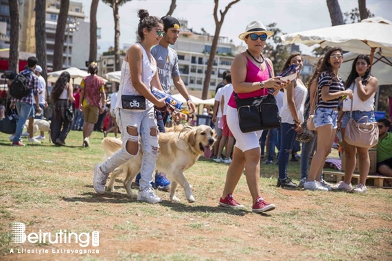 Hippodrome de Beyrouth Beirut Suburb Outdoor City Picnic Beirut Lebanon