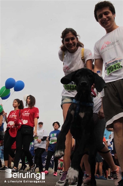 Beirut Waterfront Beirut-Downtown Outdoor BLOM Bank Beirut Marathon 2016 Lebanon