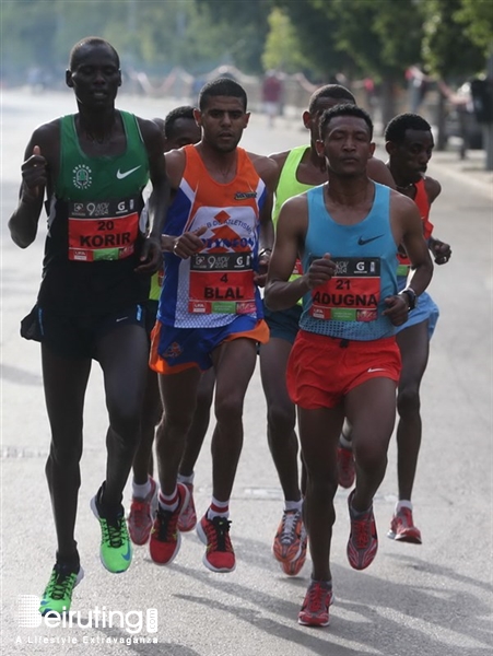 Activities Beirut Suburb Outdoor Beirut Marathon 2014 Lebanon