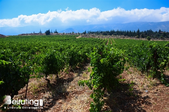 Chateau Kefraya Bekaa Social Event Carpe Diem in the Parks by Chateau Kefraya Lebanon