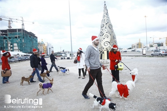 Social Event Fun Walk With Santa Lebanon