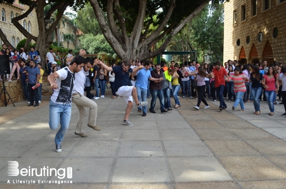 University Event LAU Dabke Day Lebanon