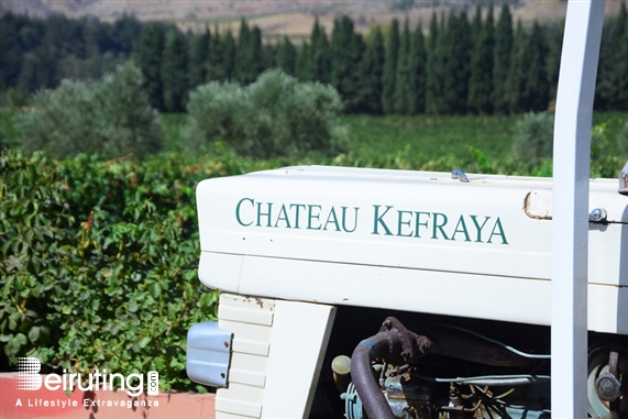 Chateau Kefraya Bekaa Outdoor La Journée des Vendangeurs Lebanon