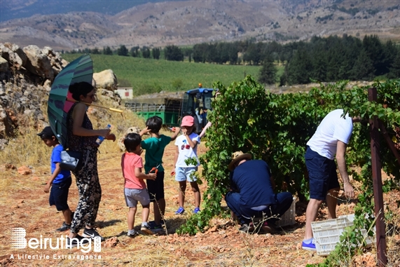 Chateau Kefraya Bekaa Outdoor La Journée des Vendangeurs Lebanon