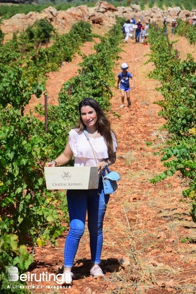 Chateau Kefraya Bekaa Outdoor La Journée des Vendangeurs Lebanon