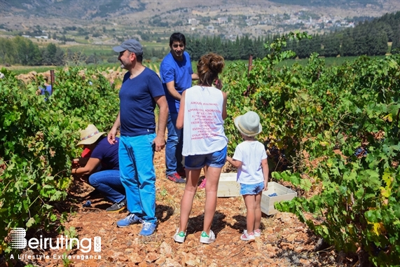 Chateau Kefraya Bekaa Outdoor La Journée des Vendangeurs Lebanon