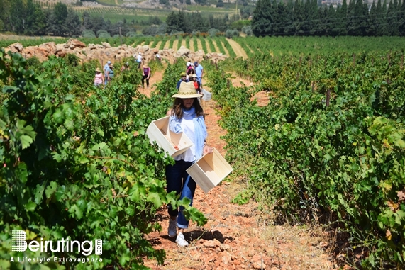 Chateau Kefraya Bekaa Outdoor La Journée des Vendangeurs Lebanon