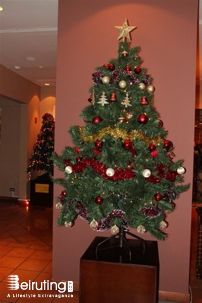 Movenpick Social Event Lighting of the Christmas Trees Lebanon