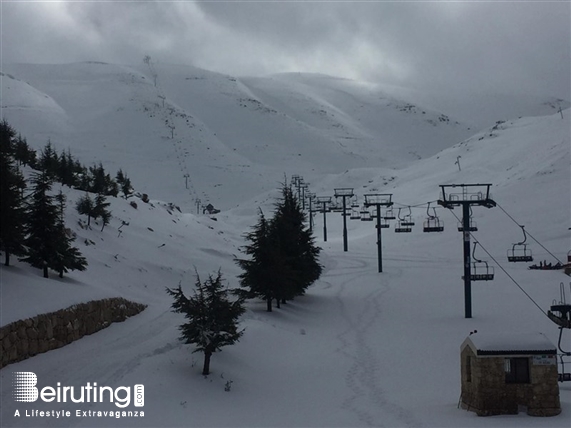 Mzaar Intercontinental Mzaar,Kfardebian Outdoor First Snow pictures at Mzaar Lebanon