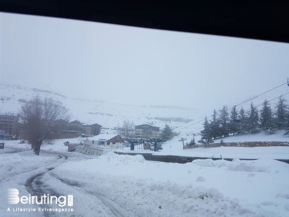 Mzaar Intercontinental Mzaar,Kfardebian Outdoor First Snow pictures at Mzaar Lebanon