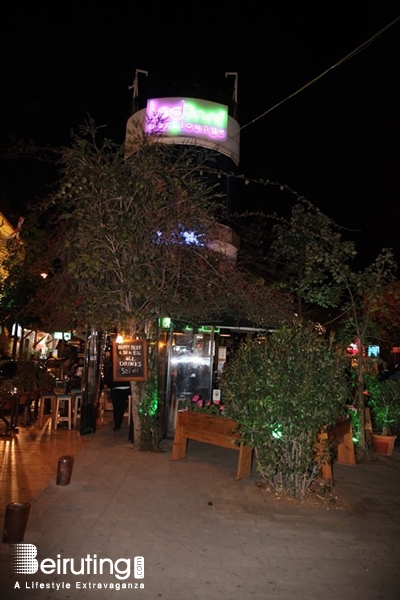 Tonic Cafe Bar Jounieh Nightlife Tonic on Saturday Night Lebanon