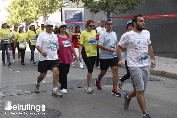 Activities Beirut Suburb Social Event Beirut Marathon 2013 Lebanon