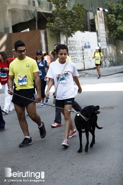 Activities Beirut Suburb Social Event Beirut Marathon 2013 Lebanon