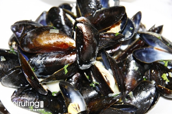 éCafé Sursock Jbeil Nightlife Moules Frites Night at eCafe Lebanon