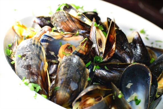 éCafé-EddeYard Jbeil Nightlife Moules Frites Night at Edde Yard Lebanon