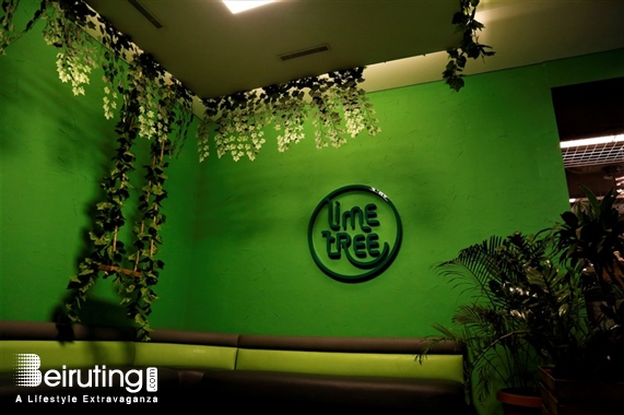 Lime Tree Dbayeh Nightlife Lime Tree on Friday Night Lebanon