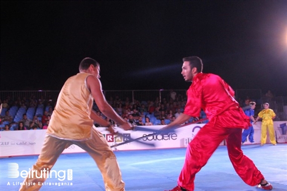 Activities Beirut Suburb Social Event Martial Arts Festival Lebanon