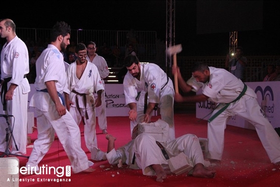 Activities Beirut Suburb Outdoor Martial Arts Festival Lebanon