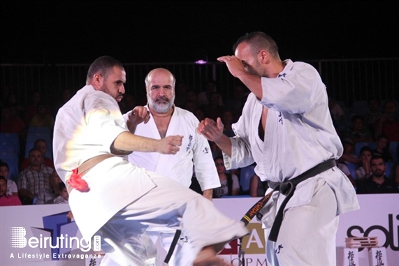 Activities Beirut Suburb Social Event Martial Arts Festival Lebanon