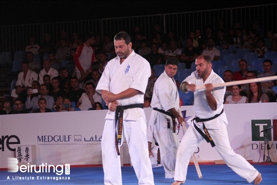 Activities Beirut Suburb Social Event Martial Arts Festival Lebanon