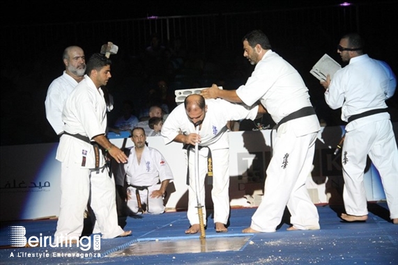 Activities Beirut Suburb Social Event Martial Arts Festival Lebanon