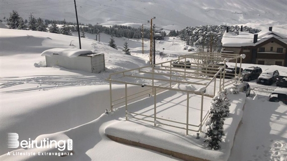 White Cedar Hotel Ehden Outdoor White Cedar Hotel during Winter Lebanon